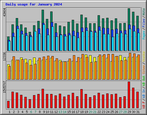 Daily usage for January 2024