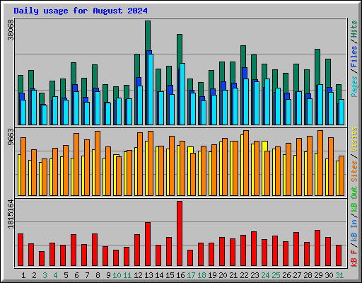 Daily usage for August 2024