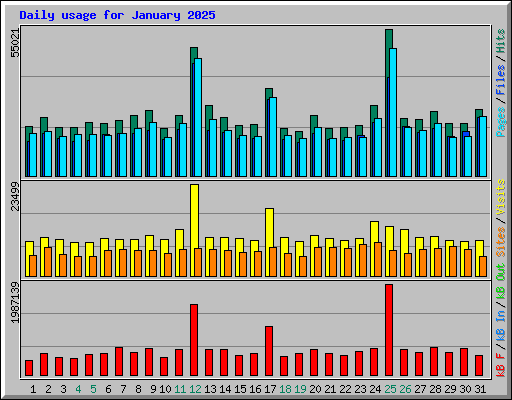 Daily usage for January 2025