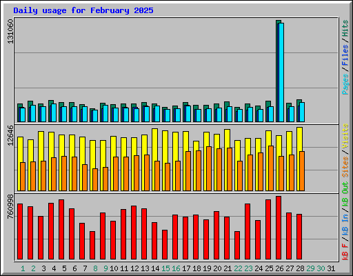 Daily usage for February 2025