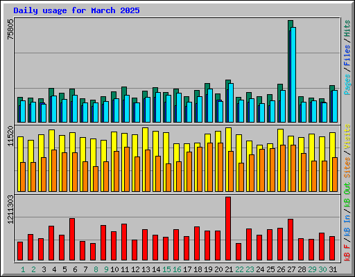 Daily usage for March 2025