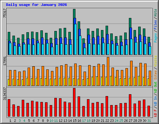 Daily usage for January 2026