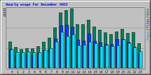 Hourly usage for December 2022