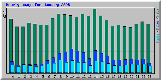 Hourly usage for January 2023