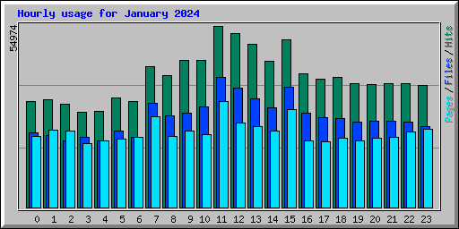 Hourly usage for January 2024