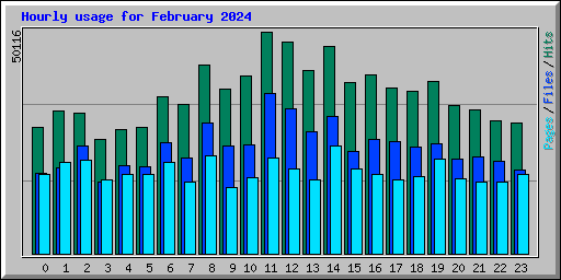Hourly usage for February 2024