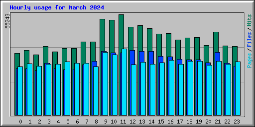 Hourly usage for March 2024