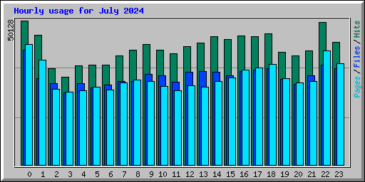 Hourly usage for July 2024