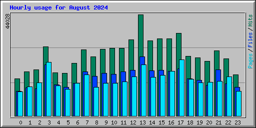 Hourly usage for August 2024