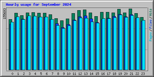 Hourly usage for September 2024