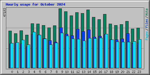Hourly usage for October 2024