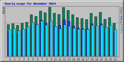 Hourly usage for November 2024
