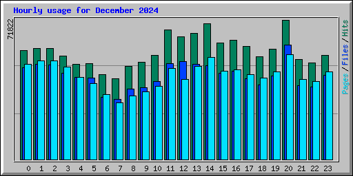 Hourly usage for December 2024