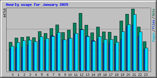 Hourly usage for January 2025