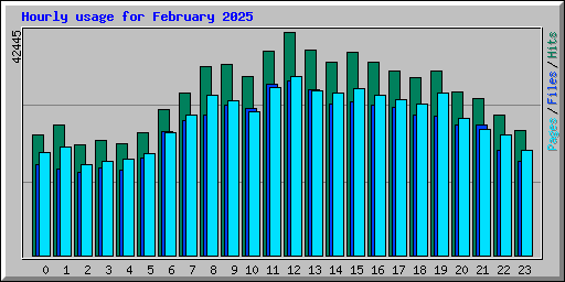 Hourly usage for February 2025