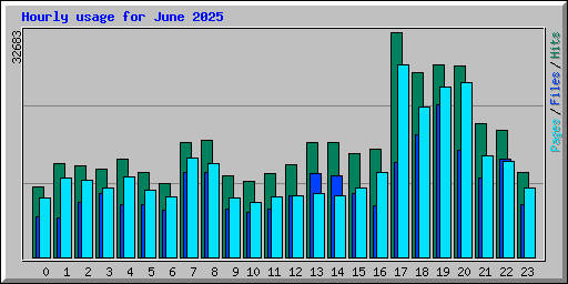 Hourly usage for June 2025