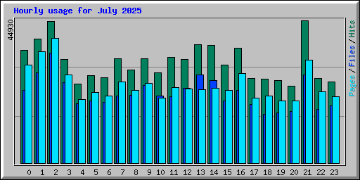 Hourly usage for July 2025