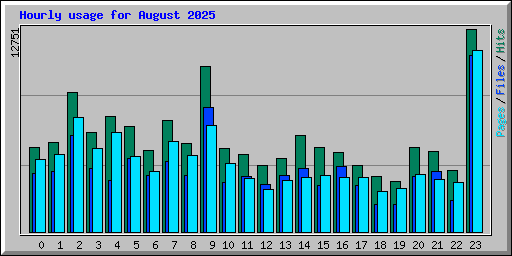 Hourly usage for August 2025