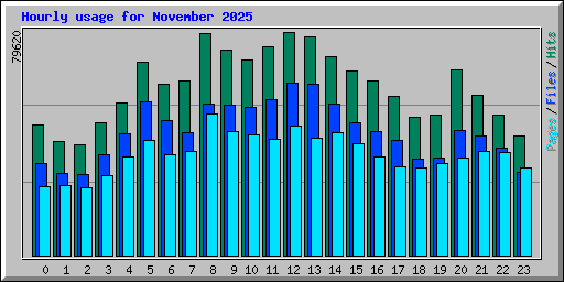 Hourly usage for November 2025