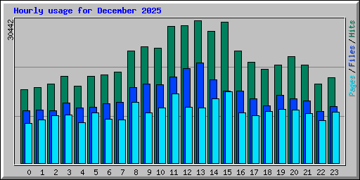 Hourly usage for December 2025
