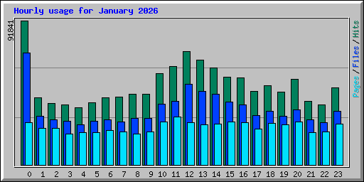 Hourly usage for January 2026