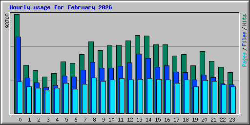 Hourly usage for February 2026