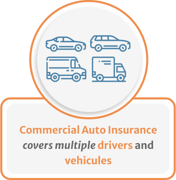 Infographic of Commercial Auto cover multiple drivers and vehicules
